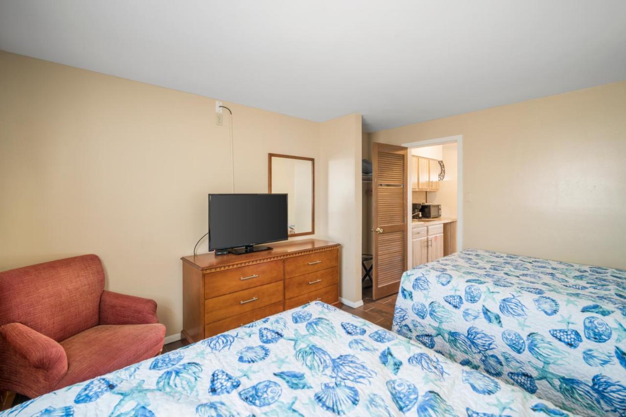 Motel Sahara 2*